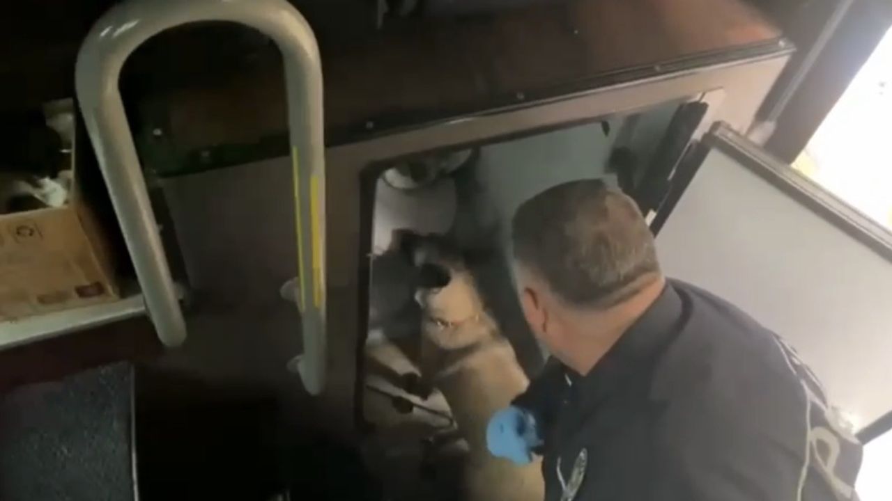 Samsun'da Yolcu Otobüsünde 2 Kilo Metamfetamin Ele Geçirildi