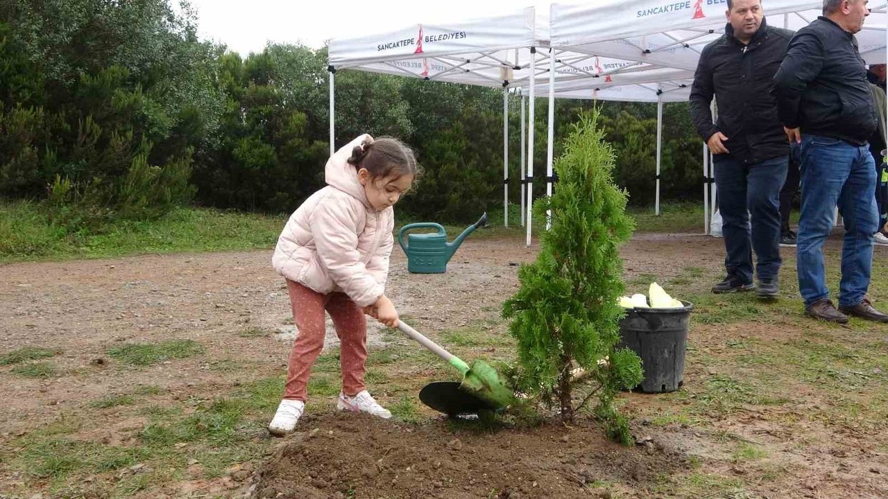 Sancaktepe’de Milli Ağaçlandırma Günü’nde yüzlerce fidan toprağa verildi