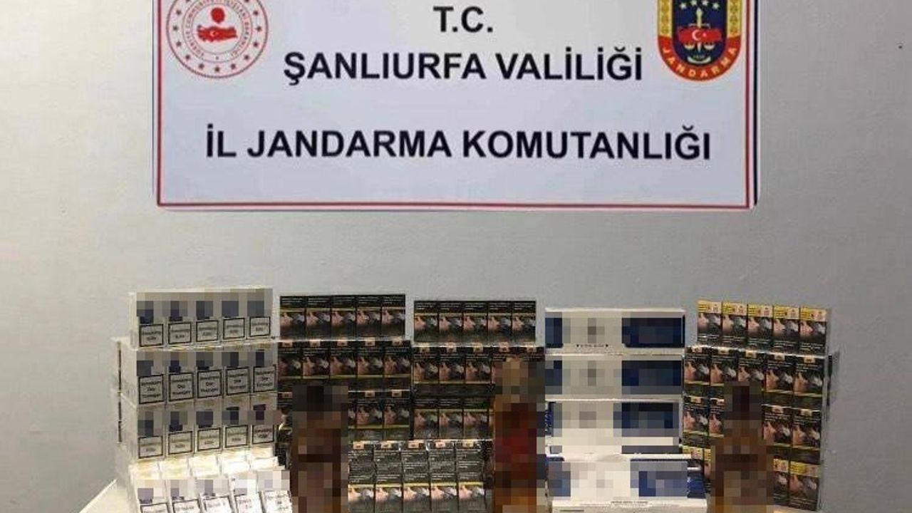 Şanlıurfa'da 5 Bin Paket Kaçak Sigara Ele Geçirildi