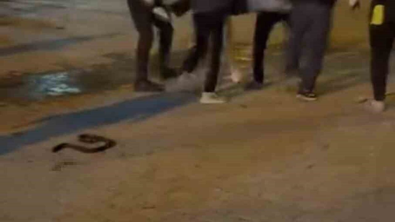 Şanlıurfa'da bıçaklı kavga: 3 yaralı, 1 ağır