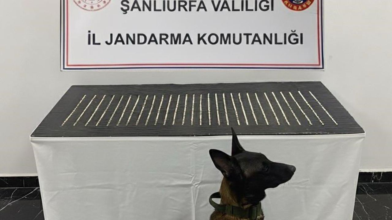 Şanlıurfa'da jandarma operasyonu: 4 kişi gözaltında
