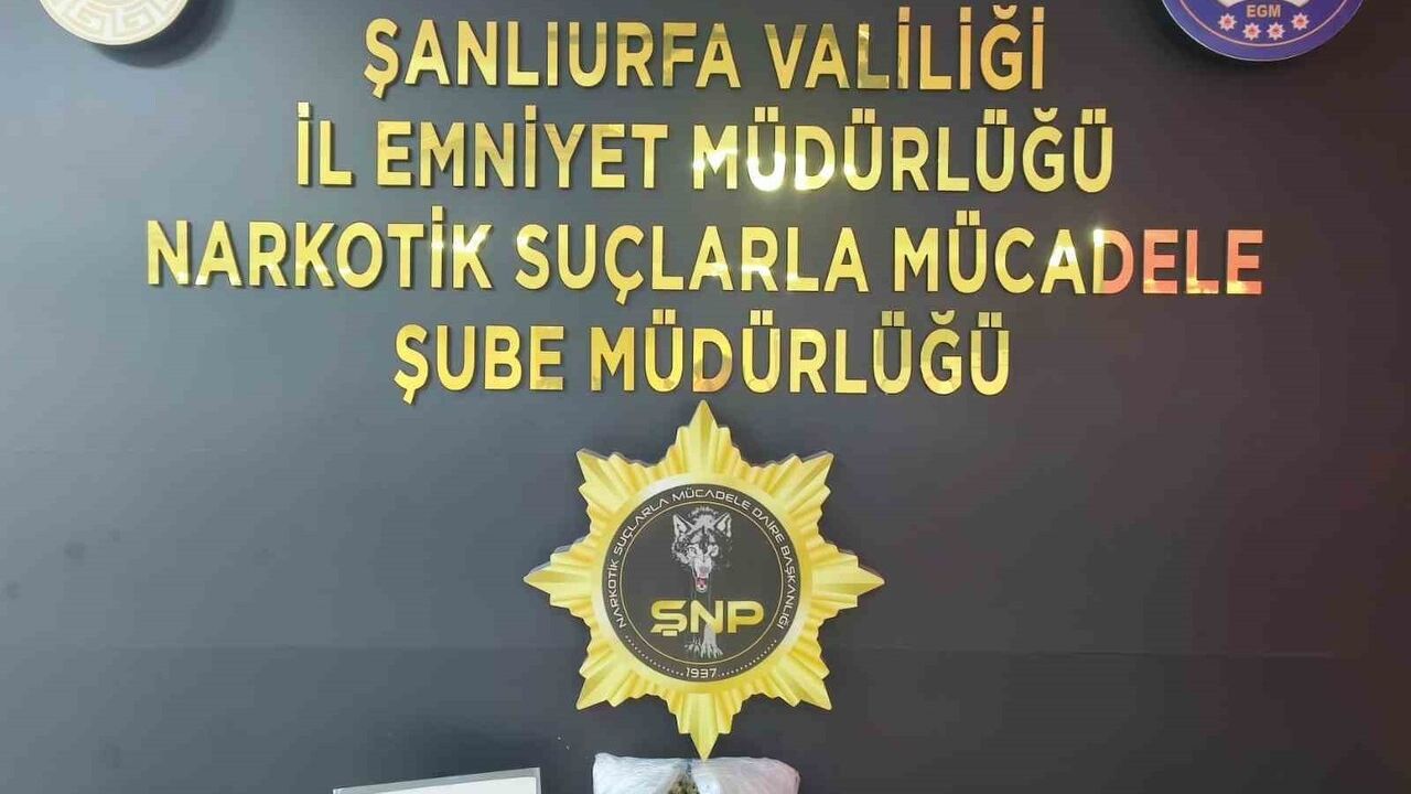 Şanlıurfa'da skunk operasyonu: 1 tutuklama