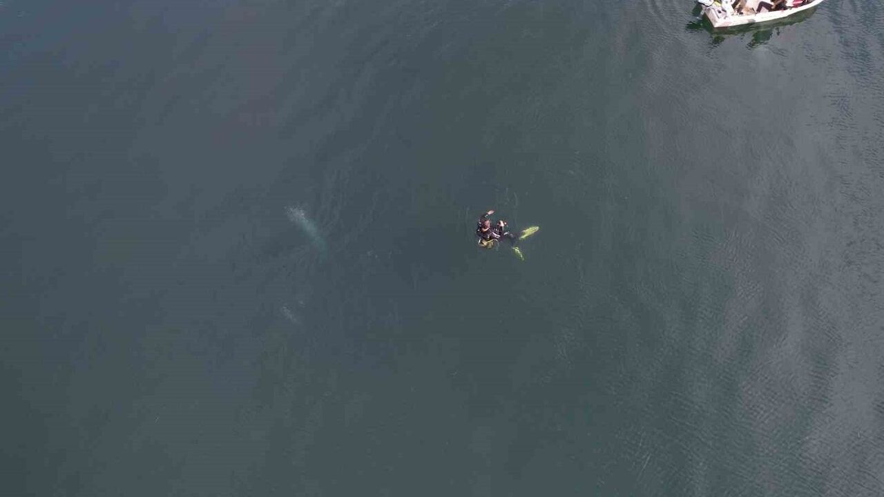 Sapanca Gölü'nde dipten yükselen kabarcıklar su altı ve havadan görüntülendi