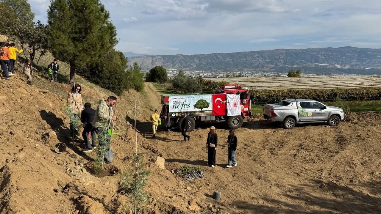 Sarıgöl’de 300 fıstık çamı toprakla buluştu