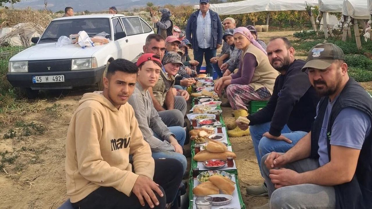 Sarıgöl'de Üzüm Alıcısından İşçilere Geleneksel İkram