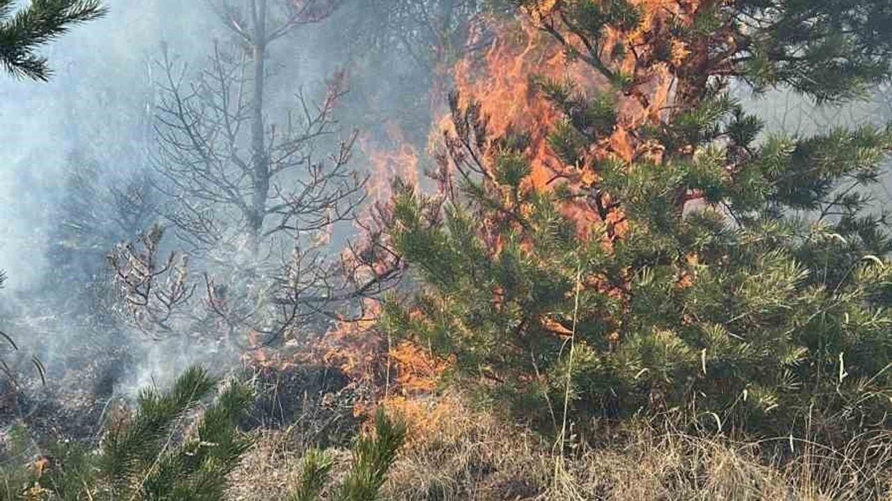 Sarıkamış'ta örtü yangını: ekipler bölgeye sevk edildi