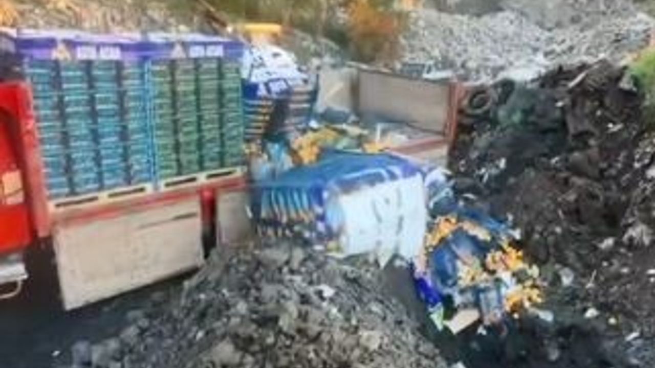 Sarp Sınır Kapısı'nda 6,1 ton mandalina imha edildi — Zirai ilaç kalıntısı tespit edildi