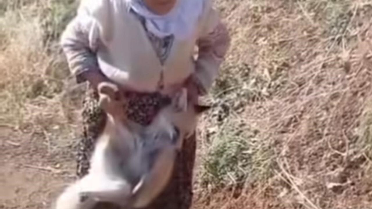 Sason’un "Cesur Ninesi" Tayyibe Karabulut hayatını kaybetti