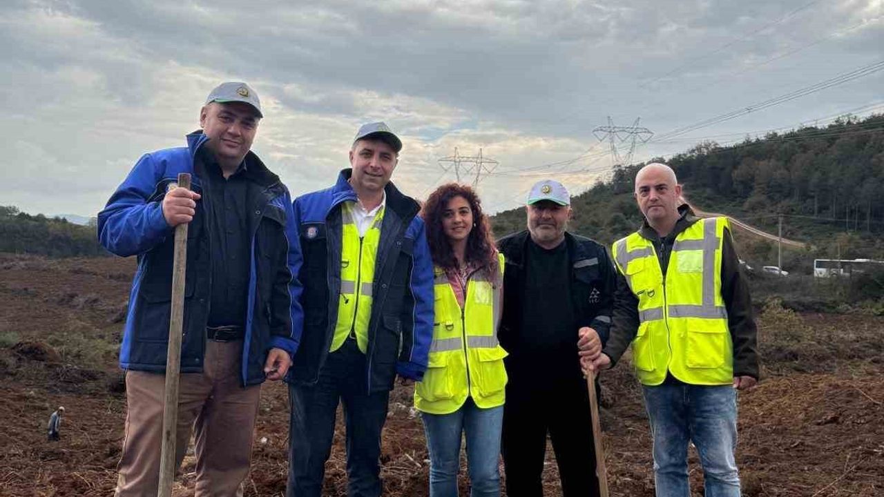 SEDAŞ 4 ilde 500 fidanı toprakla buluşturdu