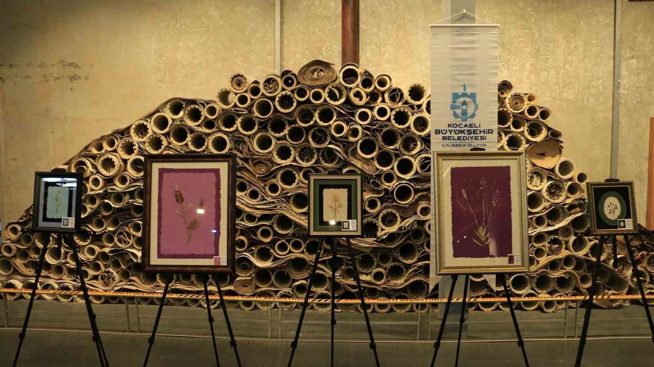 SEKA'da 'Kağıtta Açan Çiçekler' sergisi açıldı