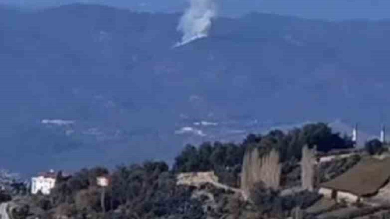 Seydikemer'de orman yangını