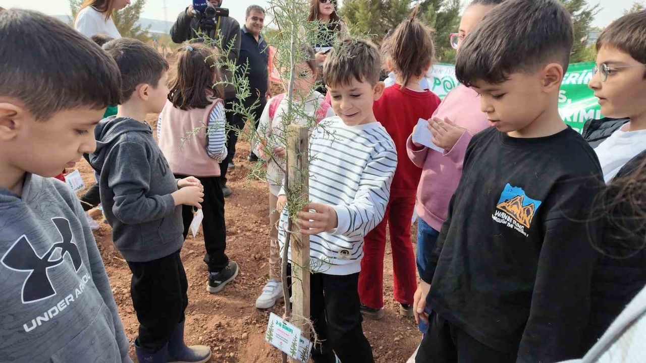 Siirt'te 11 Kasım'da Binlerce Fidan Toprakla Buluştu