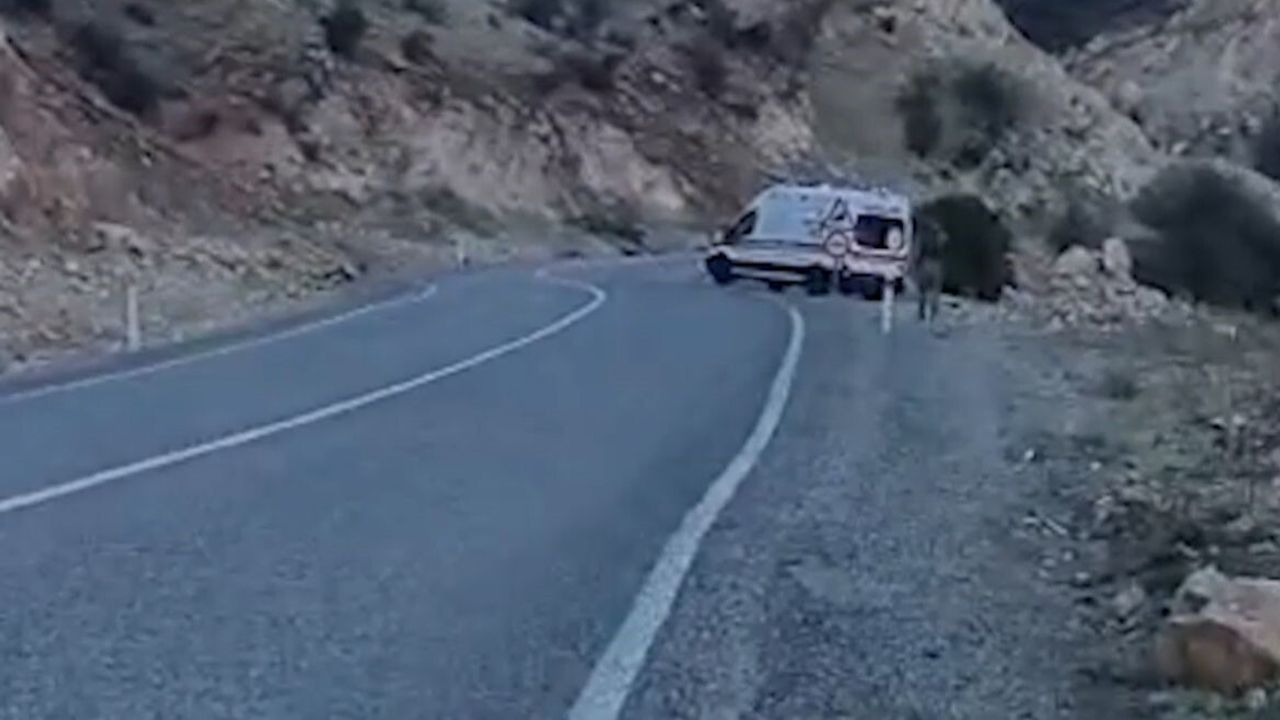 Siirt’te araç şarampole yuvarlandı: 1'i ağır, 4 yaralı