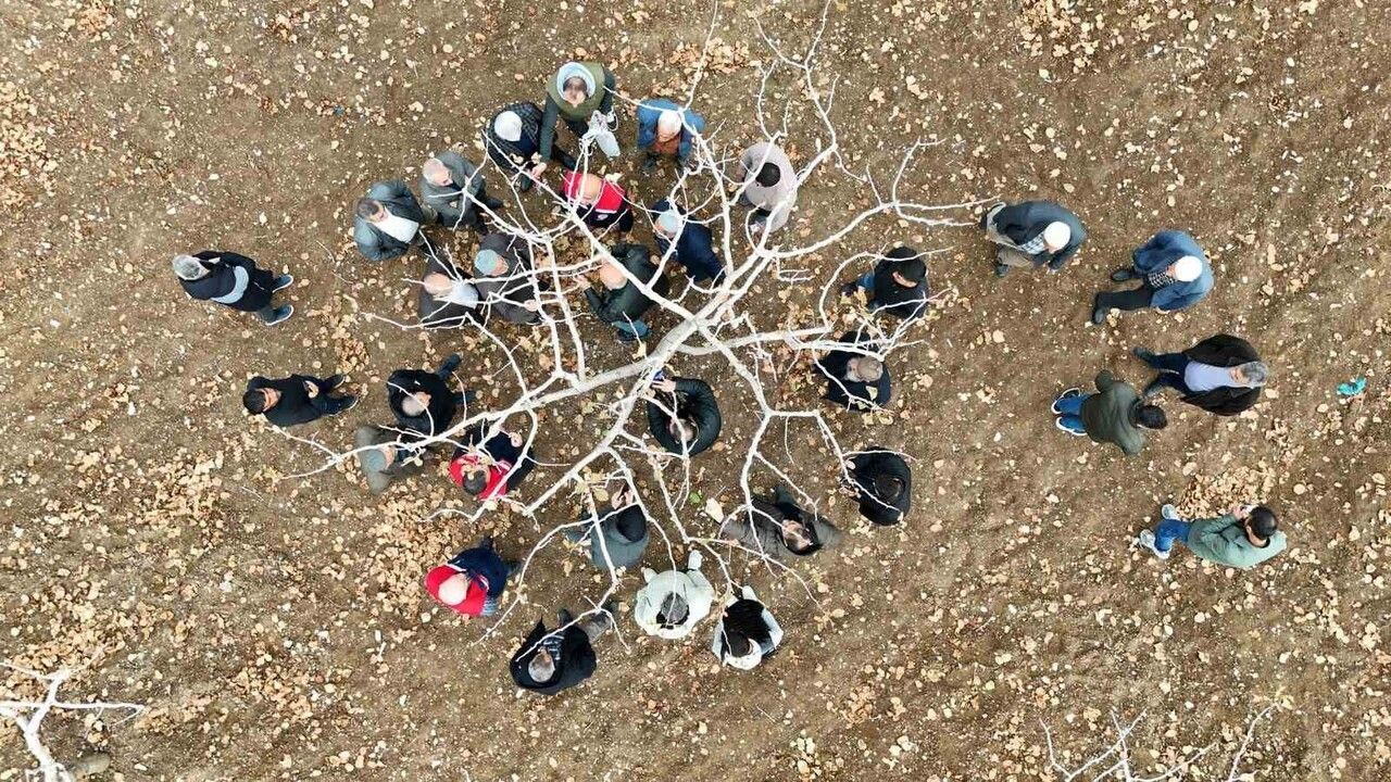 Siirt’te fıstık üreticilerine teorik ve uygulamalı budama ile gübreleme eğitimi