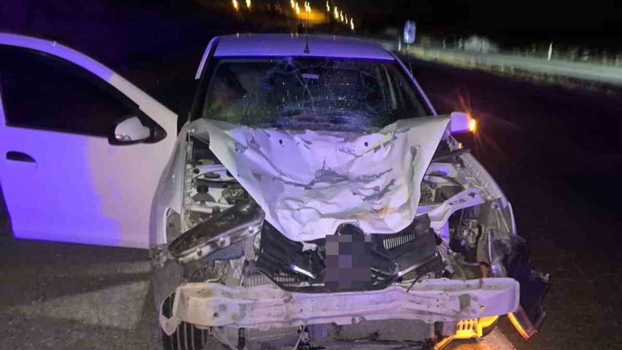 Siirt'te Kurtalan Kaynaklı'da otomobilin çarptığı at telef oldu