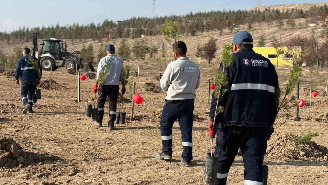 Sincan'da 25 Kasım etkinliği: Belören'de fidan, semt pazarında farkındalık