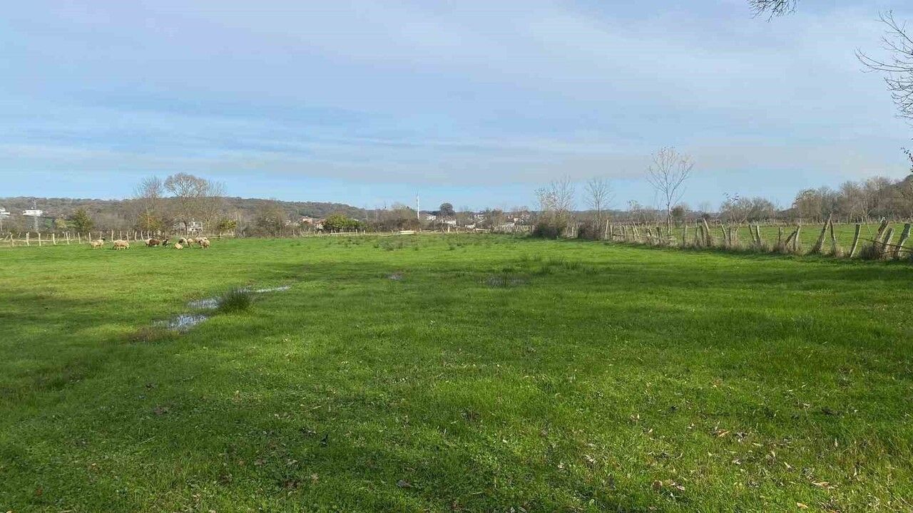 Sinop Abalı'da dere taşkınları köylüleri tedirgin ediyor