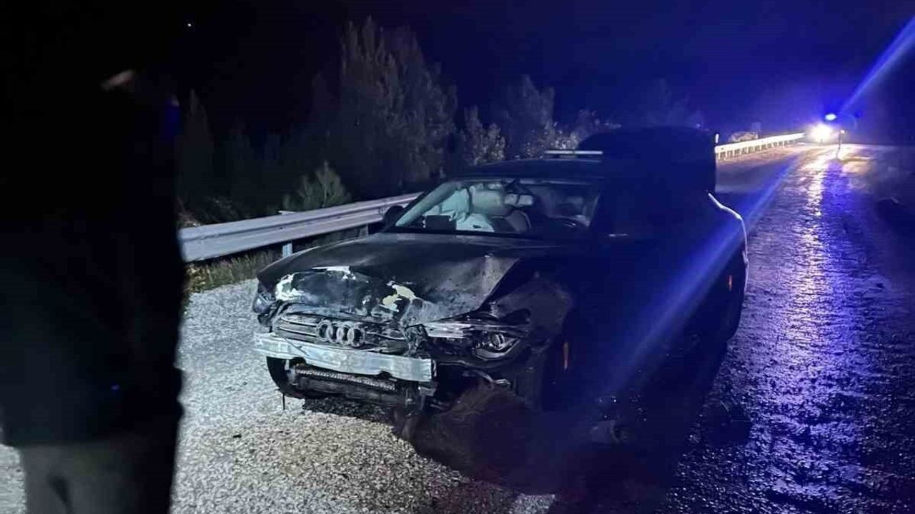 Sinop Belediye Başkanı Gürbüz’ün makam aracı Hanönü’de domuz sürüsüne çarptı
