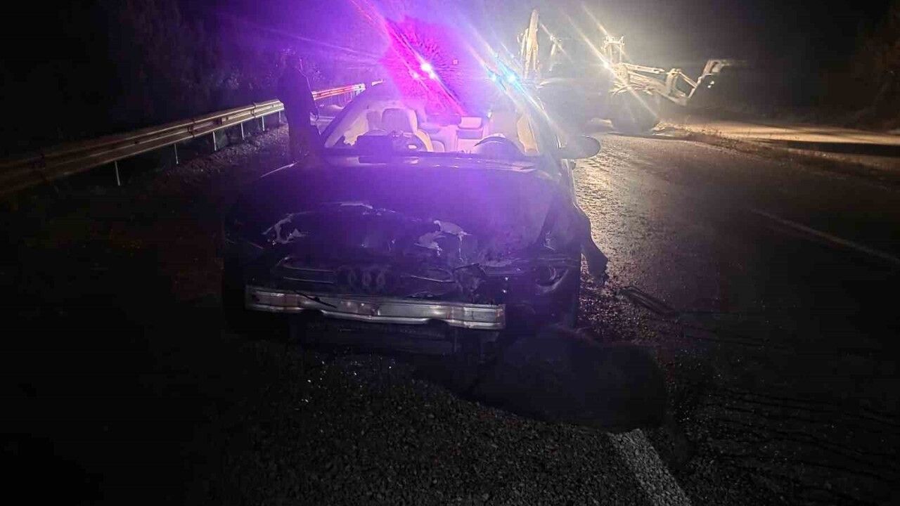 Sinop Belediye Başkanı’nın makam aracı domuz sürüsüne çarptı, 12 domuz telef oldu