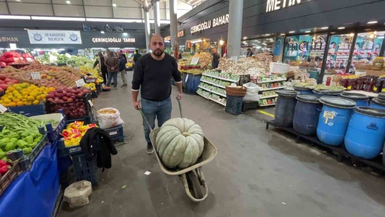 Sivas'ta 60 Kiloluk Dev Bal Kabağı Sıra Dışı İlgi Görüyor