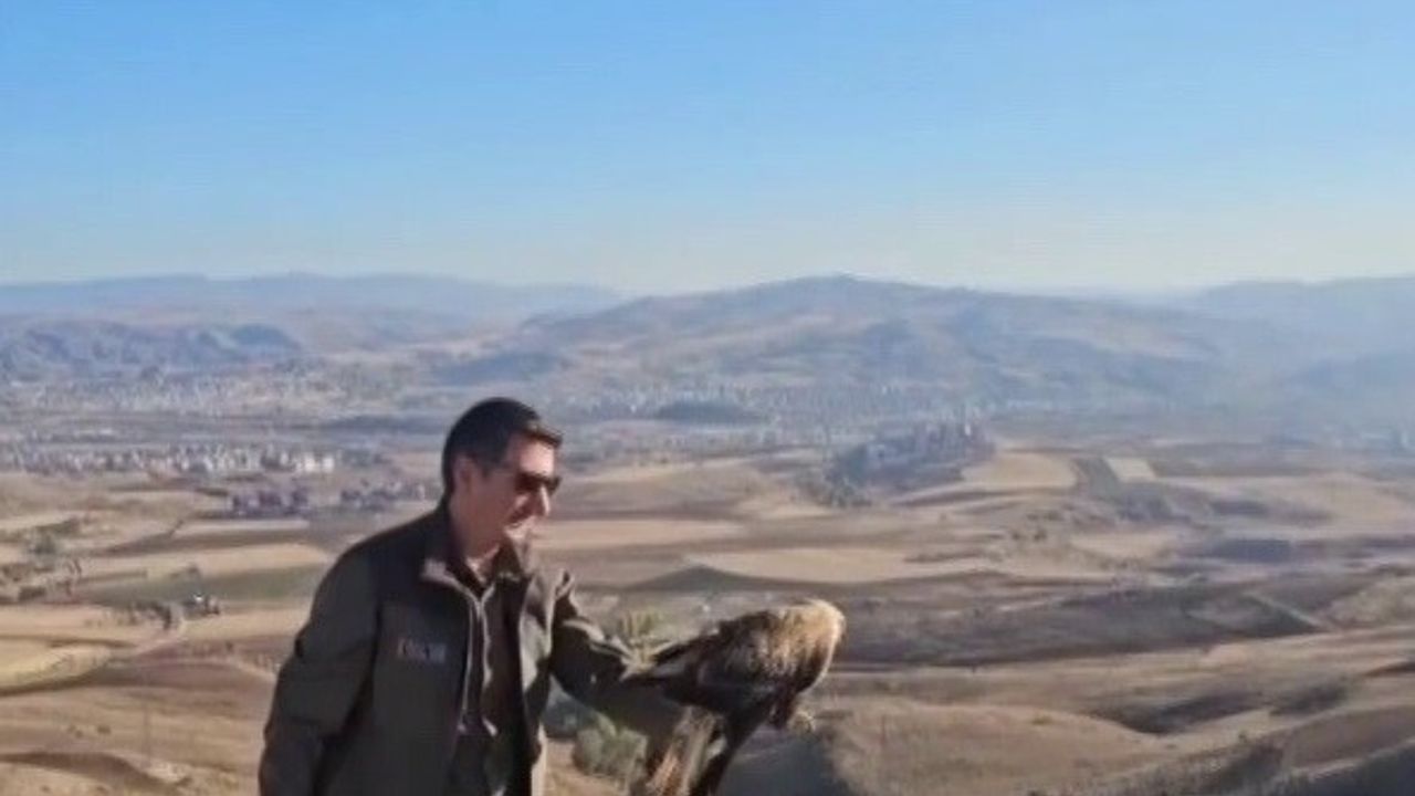 Sivas'ta tedavi edilen şahin doğal yaşamına salındı