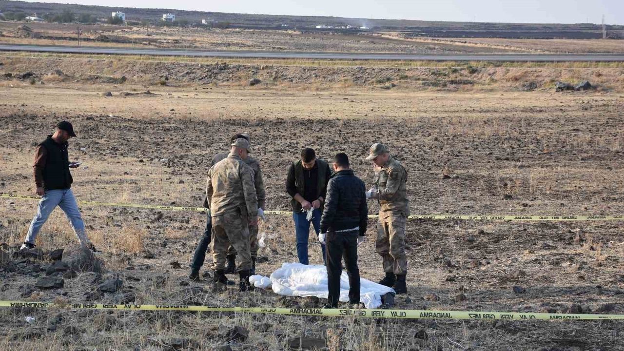 Siverek'de yol kenarında silahla vurulmuş erkek cesedi bulundu