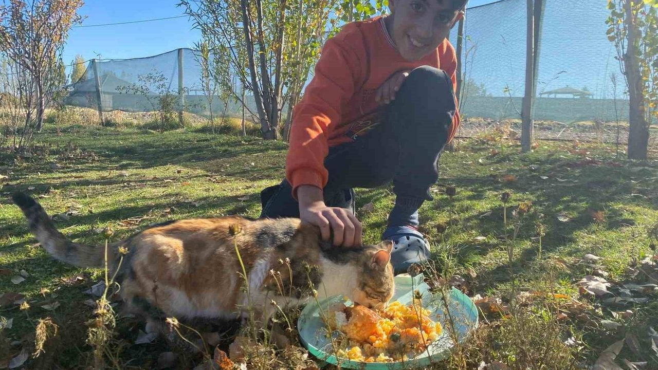 Sokak Hayvanlarına Sevgiyle Yuvasını Açtı