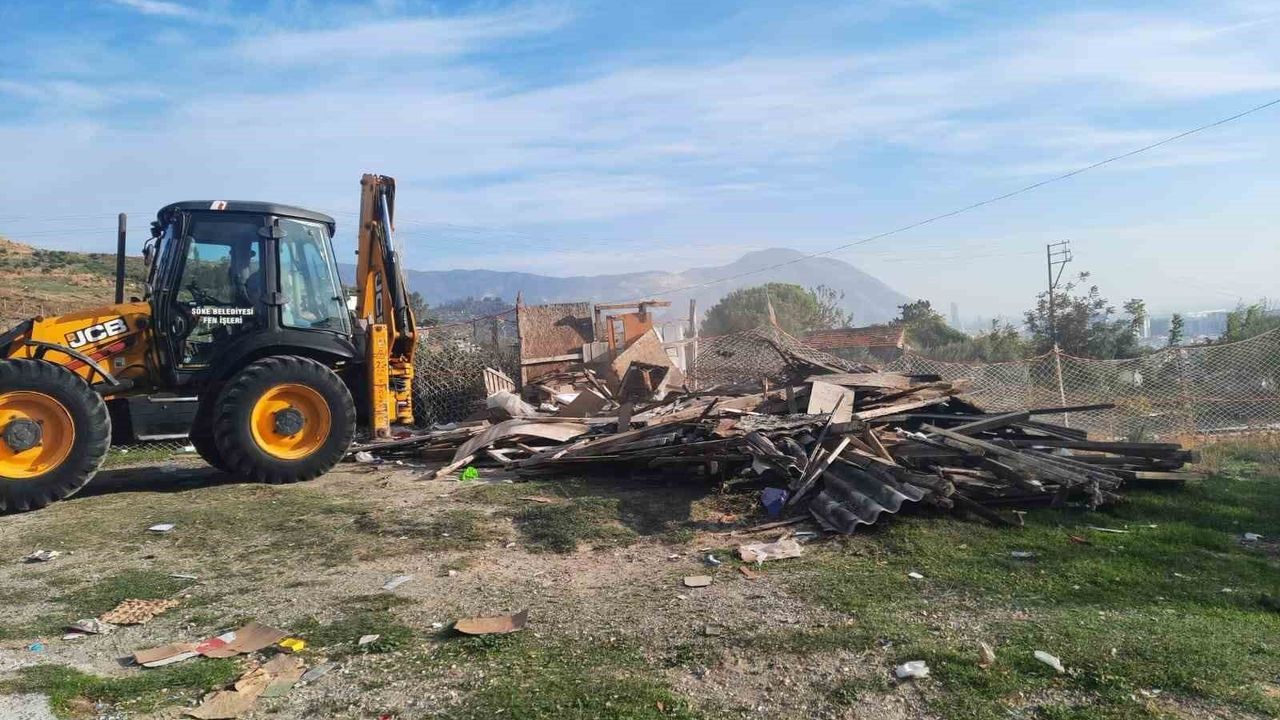 Söke Belediyesi kaçak keçi ağıllarını kaldırdı