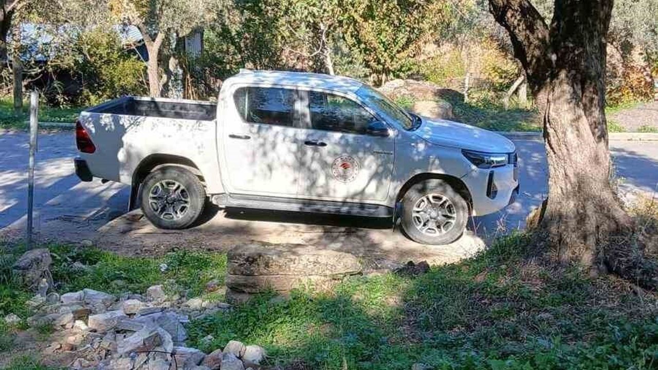 Söke'de Akdeniz meyve sineği popülasyonunda artış