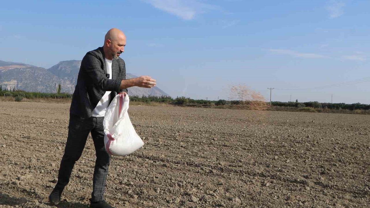 Söke'de Buğday Ekim Çalışmaları Başladı