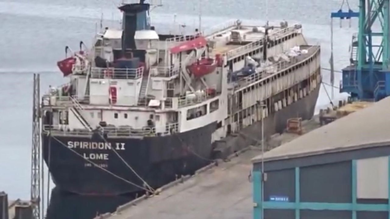 Spiridon-II Gemisinde Hayvan Refahı İddiaları: Susuzluktan Boru Yalayan İnekler ve Ölümler