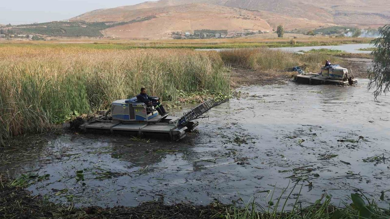 Su sümbülleri depremzede kadınların elinde ekonomiye dönüşüyor