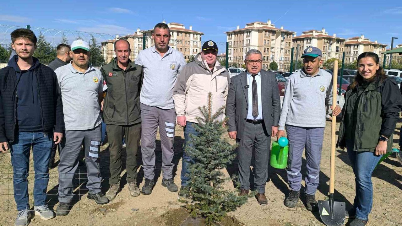 Şuhut'ta 11 Kasım Milli Ağaçlandırma Günü'nde yüzlerce fidan dikildi