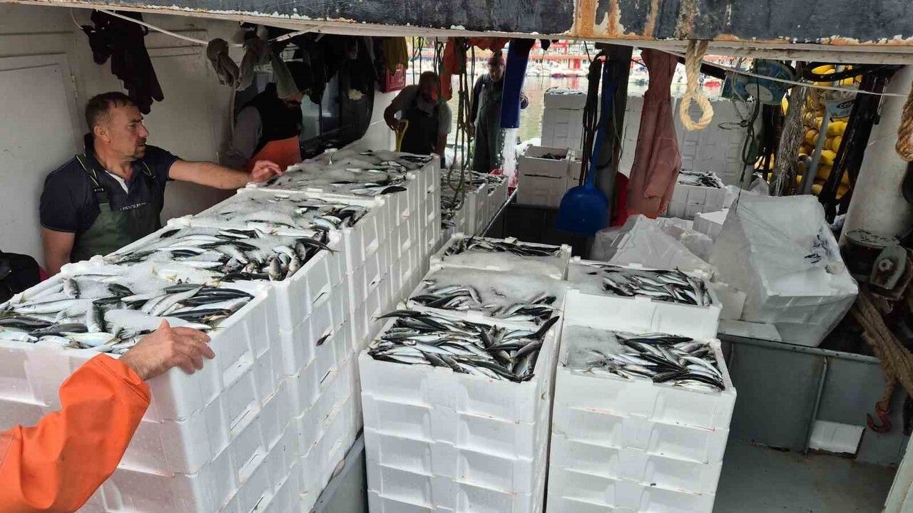 Süleymanpaşa’da balık bolluğu: Teknelere yaklaşık 600 kasa dönüş