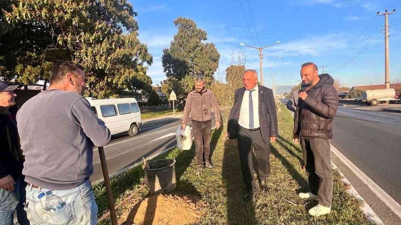 Sultanhisar'da ağaçlandırma çalışmaları hız kesmiyor