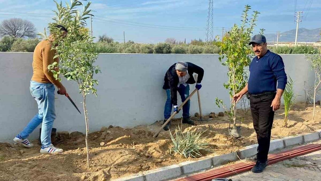 Sultanhisar'da Evcil Hayvan Merkezi Çevresine Yeşil Dokunuş