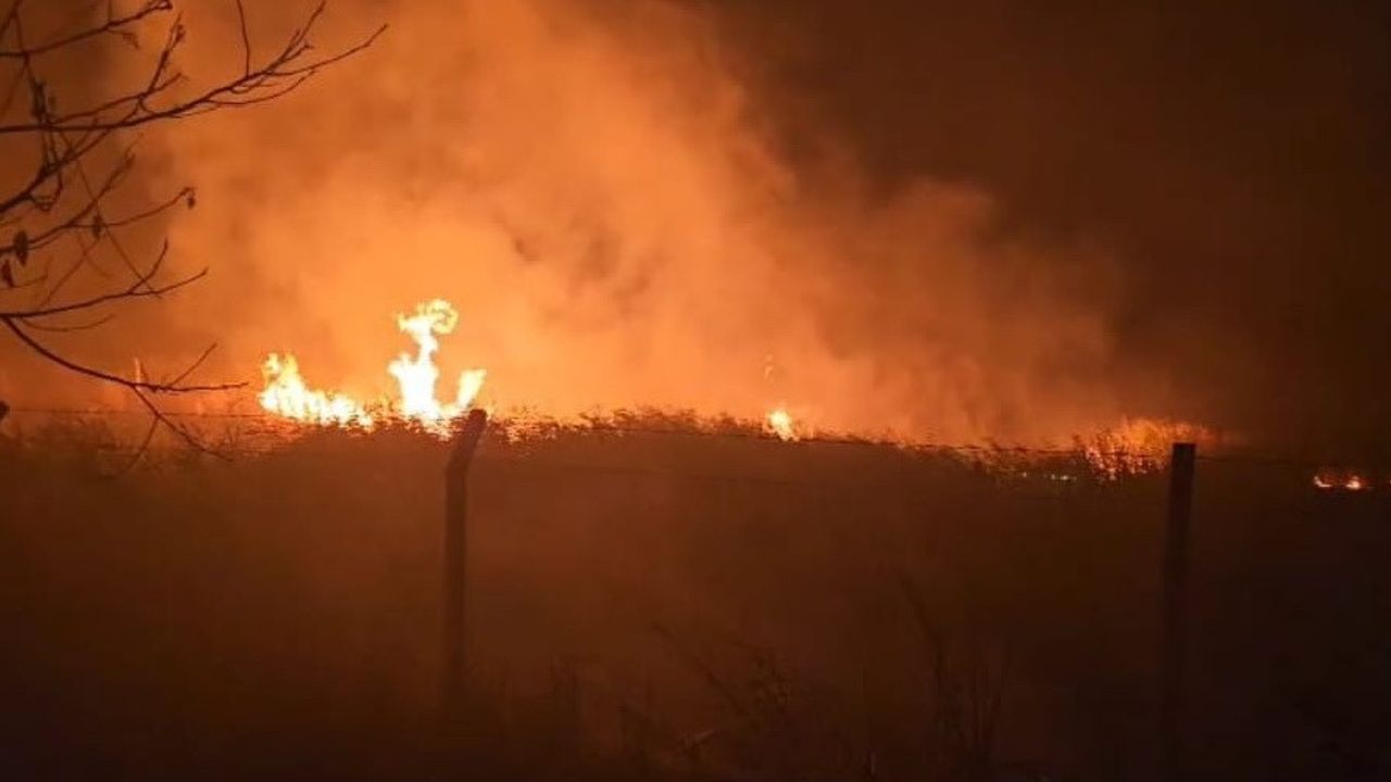 Sülüklü Göl'de Kamış Yangını Korkuttu