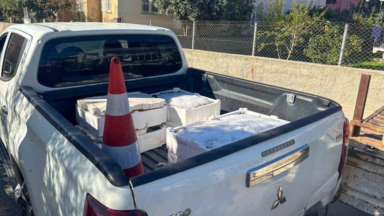 Tarsus’ta 250 kilogram sağlıksız balığa el konuldu