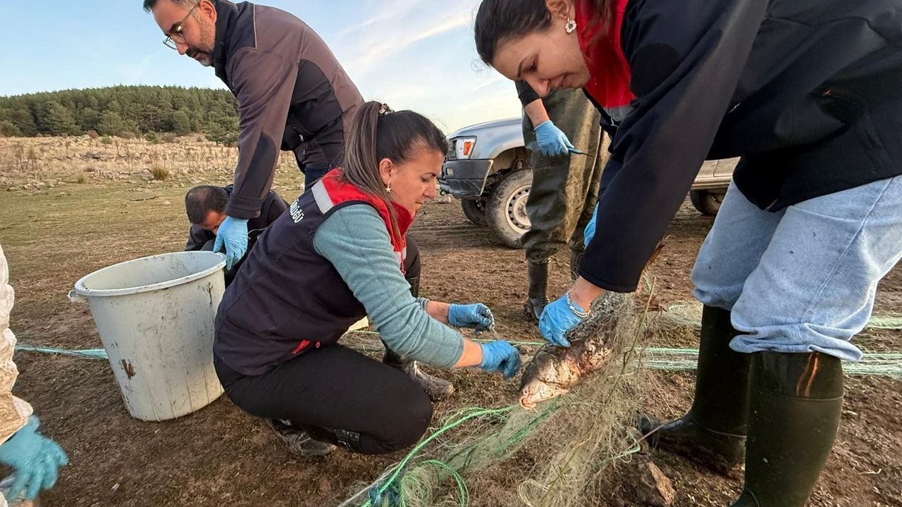 Taşlıyayla Göleti'nde 5 km hayalet ağ toplandı — 500 balık kurtarıldı