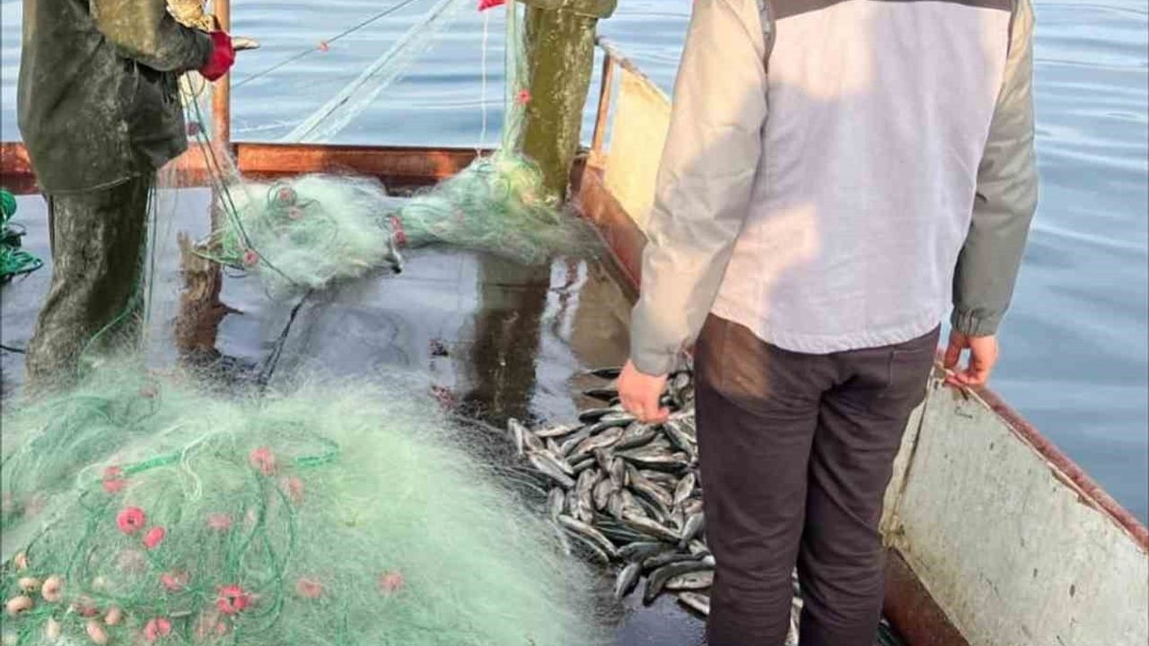 Tatvan ekiplerinden Van Gölü'nde kapsamlı balıkçılık denetimi