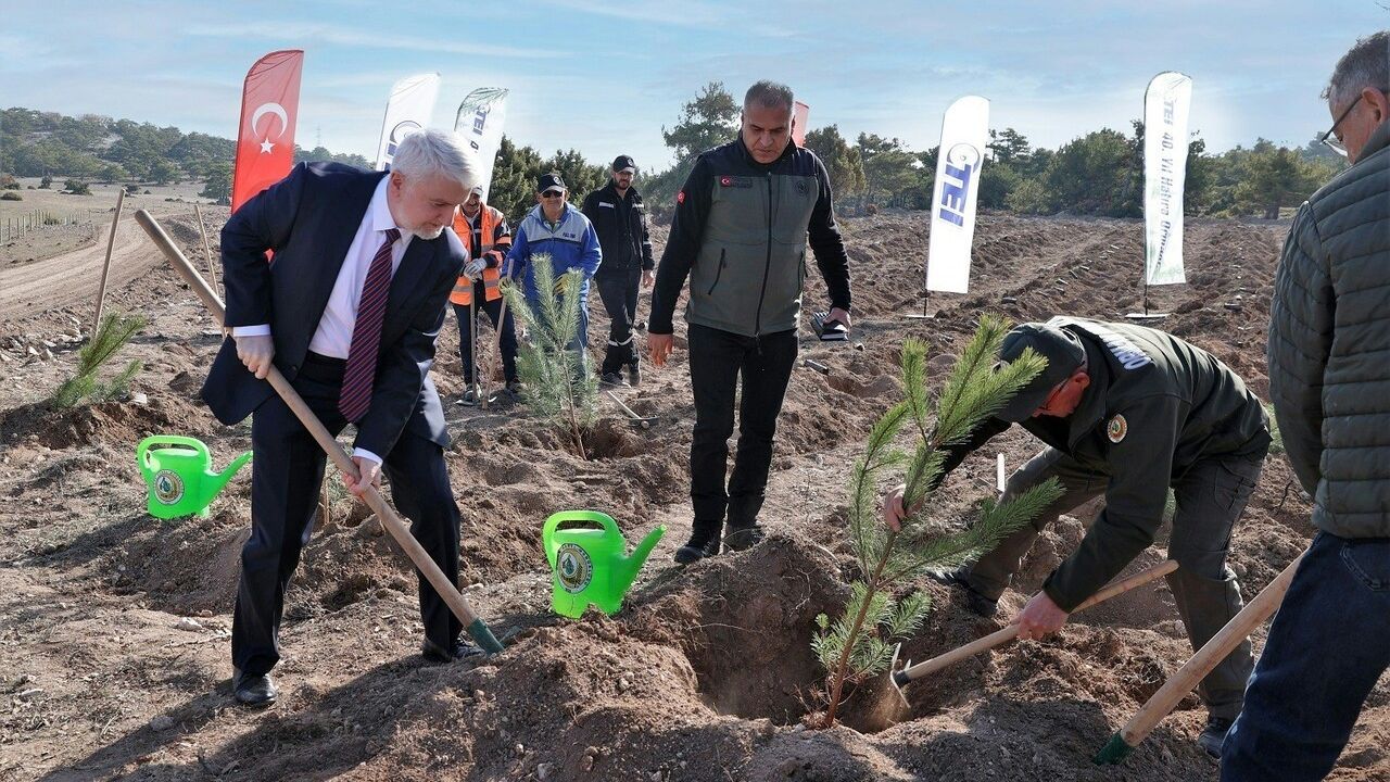 TEI'den 17 bin fidanla 40. Yıl Hatıra Ormanı