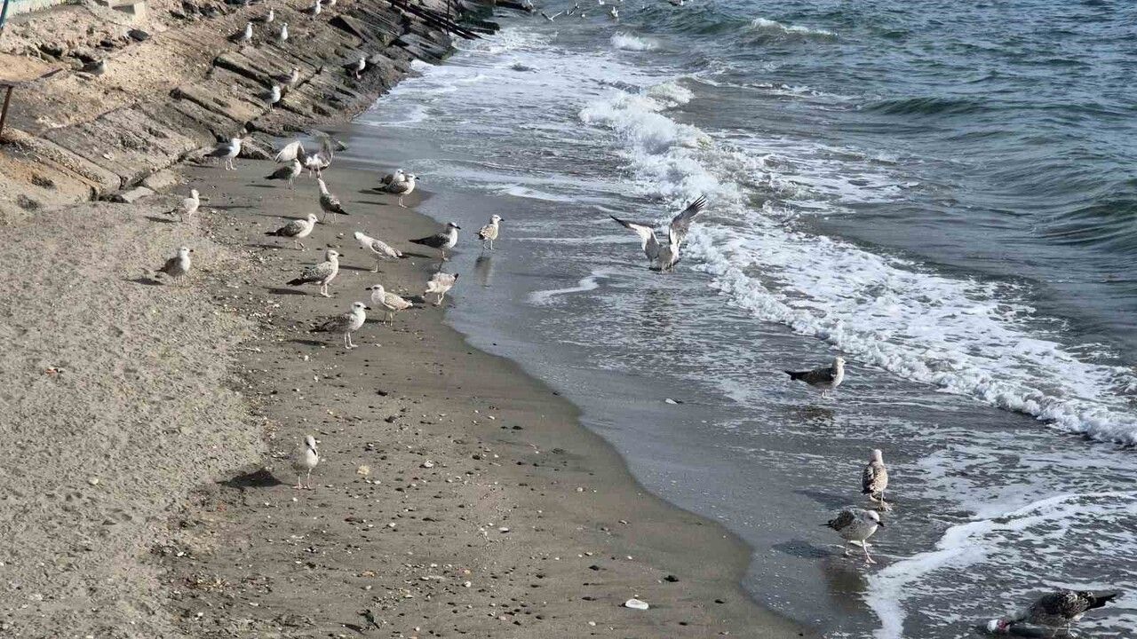 Tekirdağ’da lodos balıkçıları Süleymanpaşa limanına döndürdü