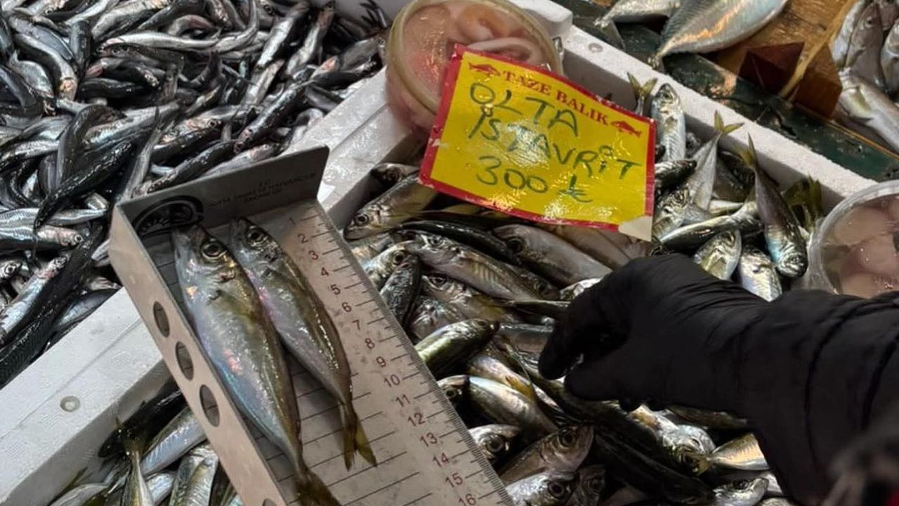 Tekirdağ'da perakende balık satışlarında boy ölçümü denetimleri