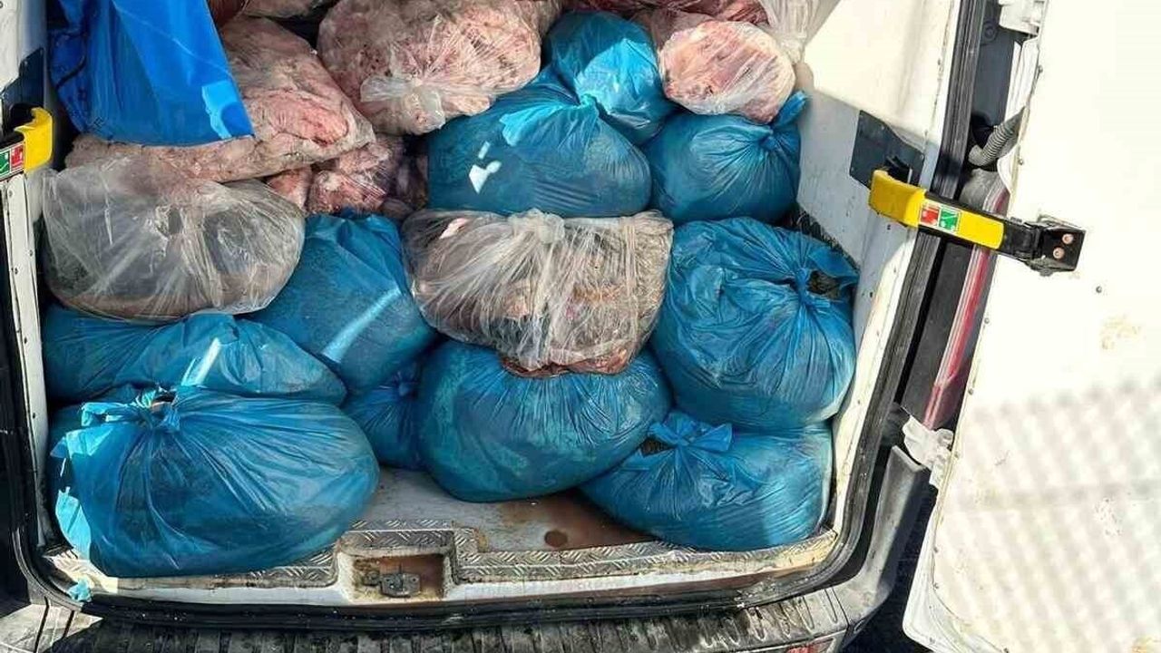 Tekirdağ Ergene'de 2 ton kaçak sakatat ele geçirildi