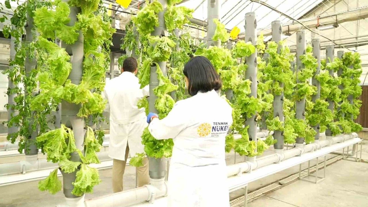 TENMAK ile Gıda Güvenliğinin Güçlendirilmesi