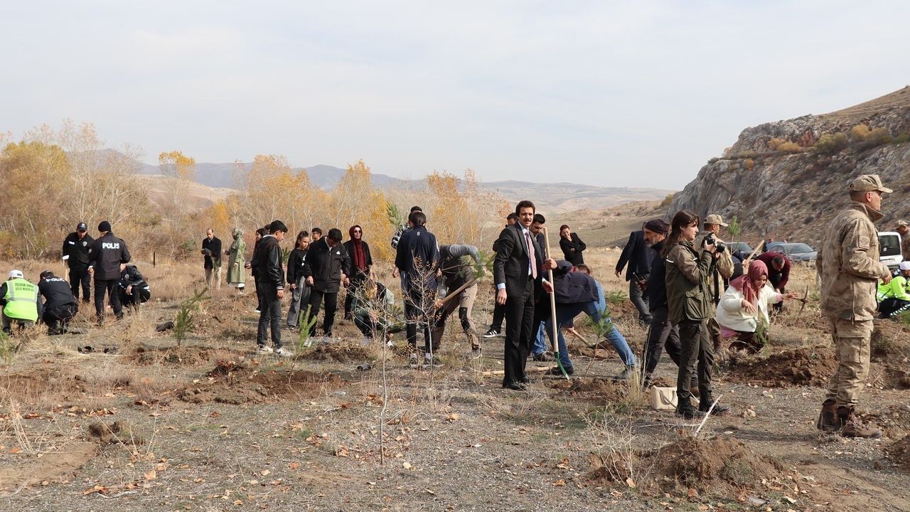 Tercan’da 11 Kasım Milli Ağaçlandırma Günü'nde Fidan Dikimi Yapıldı