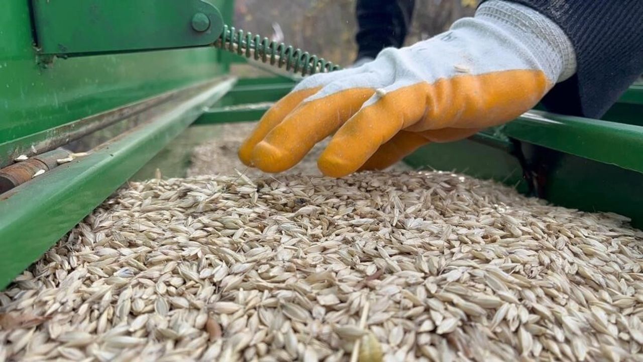 TMO Ekim 2025 raporu: Gübre fiyatları ekiliş tercihlerini etkiledi