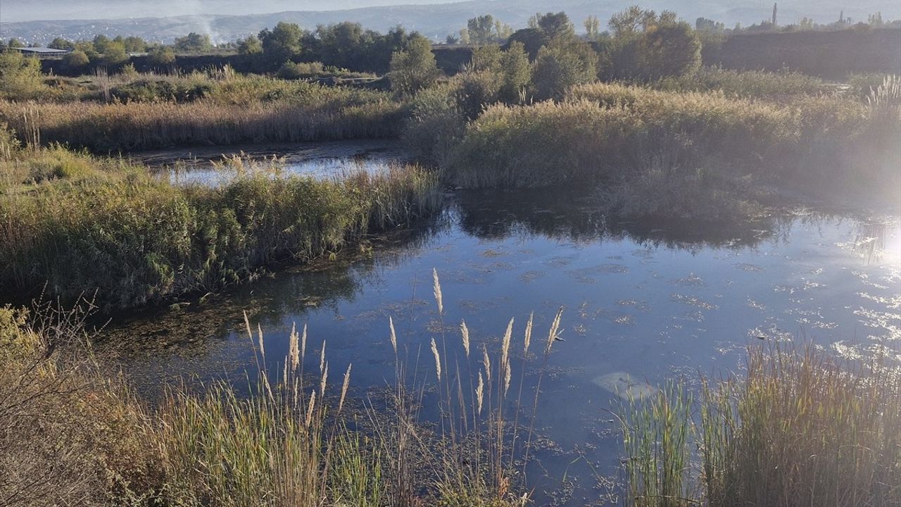 Tokat'ta Gölete Düşen Otomobilin Sürücüsü Yaralandı