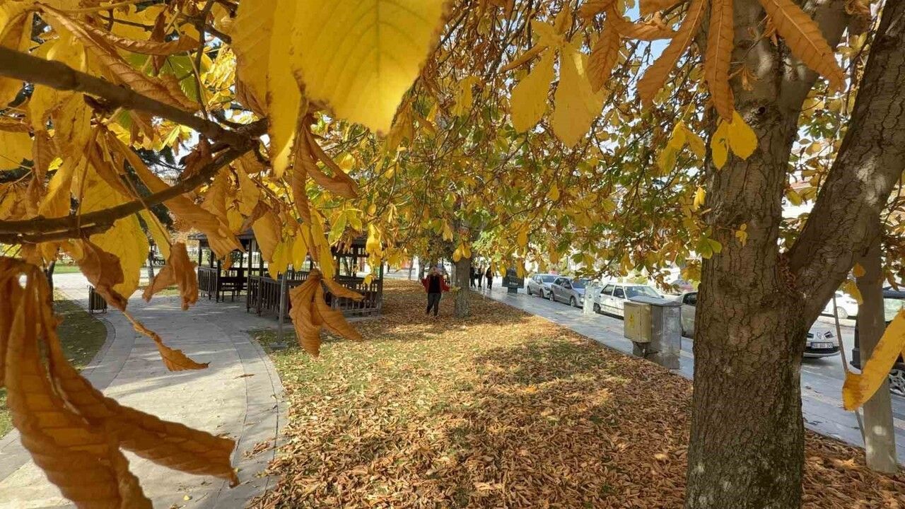 Tokat'ta sonbaharda parklar renk cümbüşü