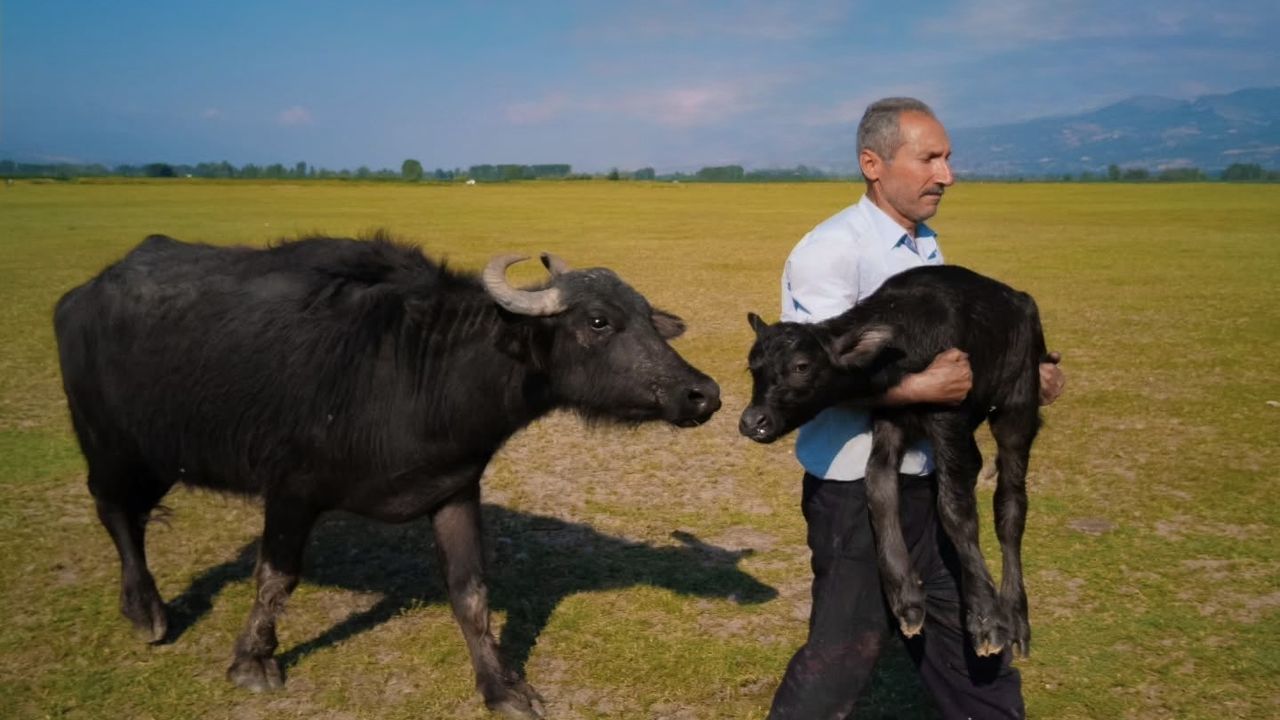 Tokatlı fırın ustası XMAGE'de dünya ikincisi oldu, Paris ödül törenine vize engeliyle katılamadı